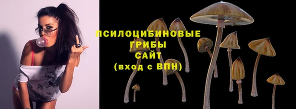 герыч Козельск