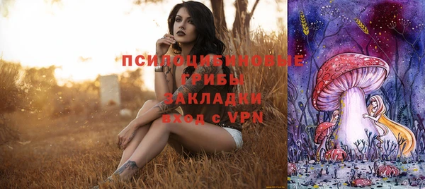 герыч Козельск