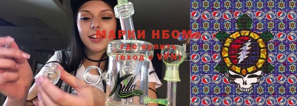 гидра Коряжма