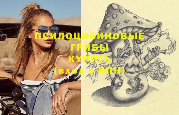 герыч Козельск