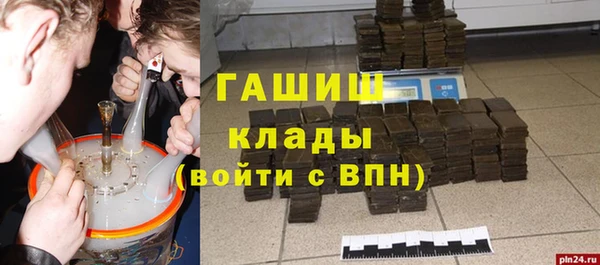 гидра Коряжма