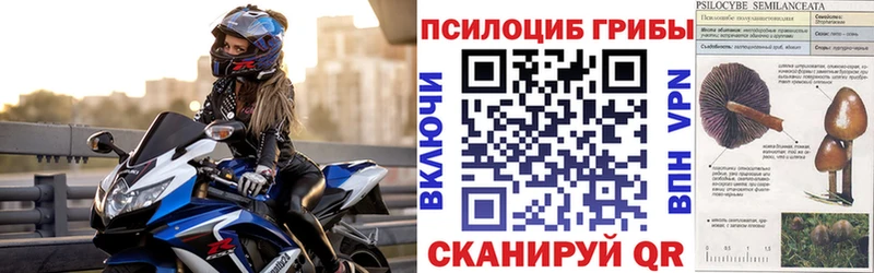 Купить  Богородск  Псилоцибиновые грибы мухоморы 
